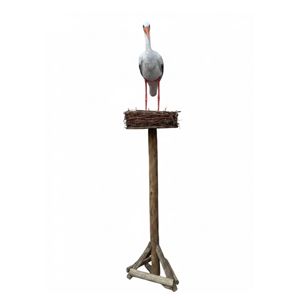 Ooievaar op nest