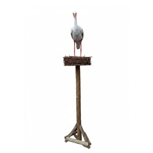 Ooievaar op nest